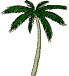 palmtree.gif (19386 bytes)